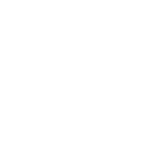 Dentasure White Logo